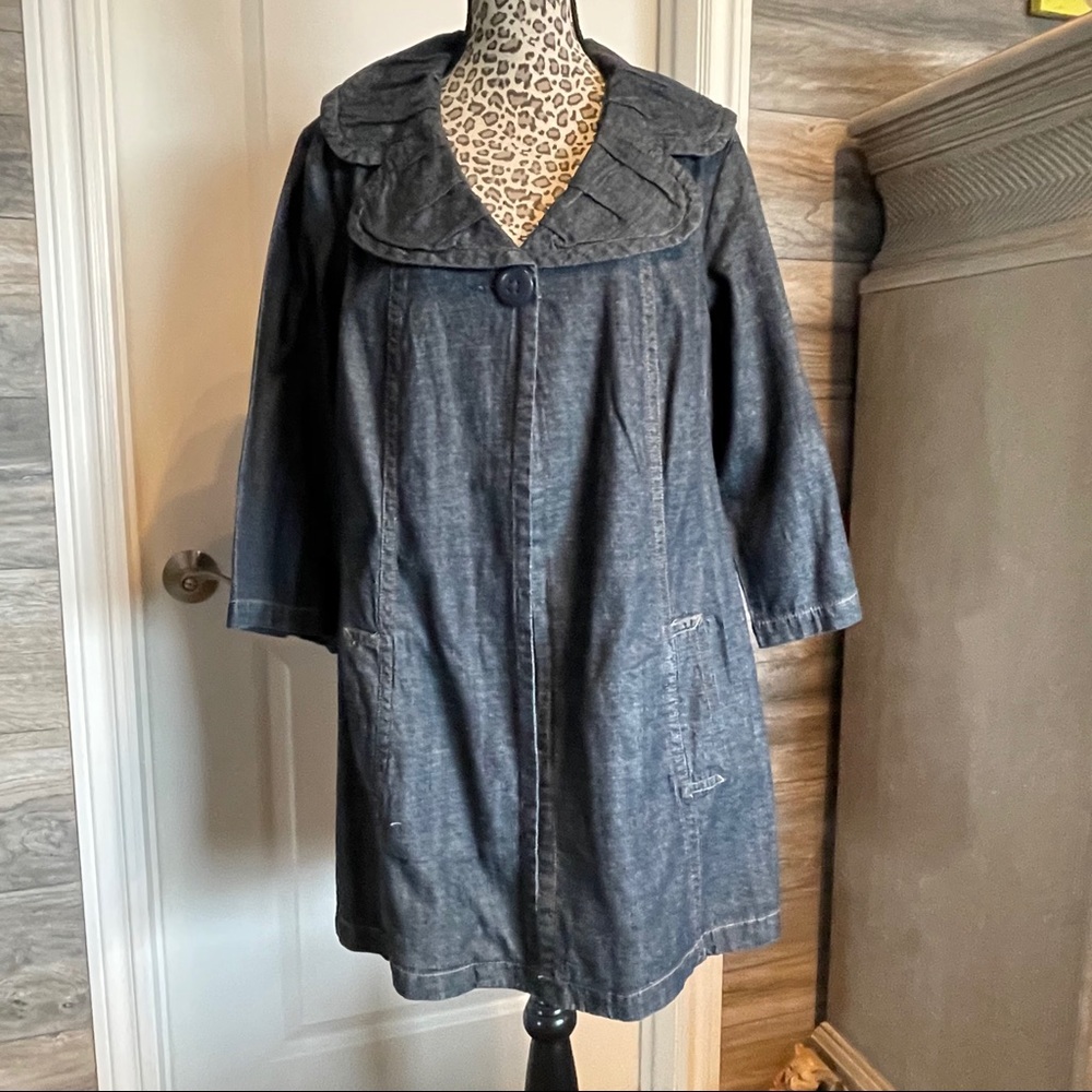 Denim Artists Style Jacket